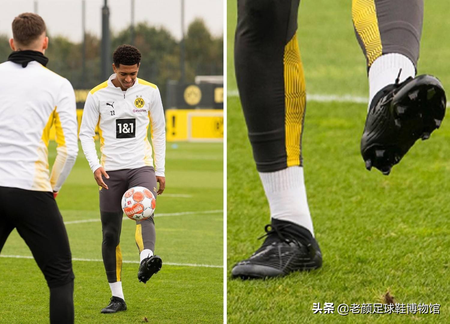 社交媒体上 社交媒体上